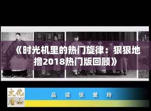 《时光机里的热门旋律:狠狠地撸2018热门版回顾》