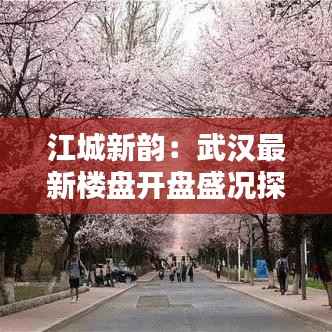 江城新韵：武汉最新楼盘开盘盛况探秘