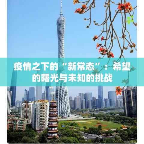 疫情之下的“新常态”:希望的曙光与未知的挑战