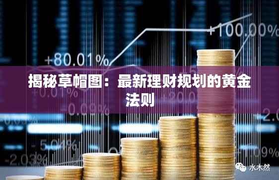 揭秘草帽图:最新理财规划的黄金法则