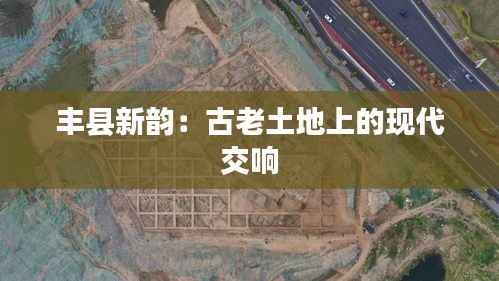 冰清玉洁 第4页