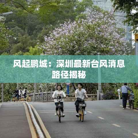 风起鹏城:深圳最新台风消息路径揭秘