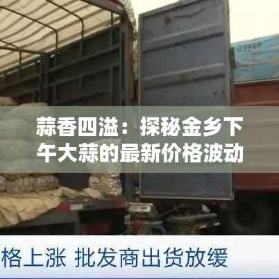 蒜香四溢:探秘金乡下午大蒜的最新价格波动