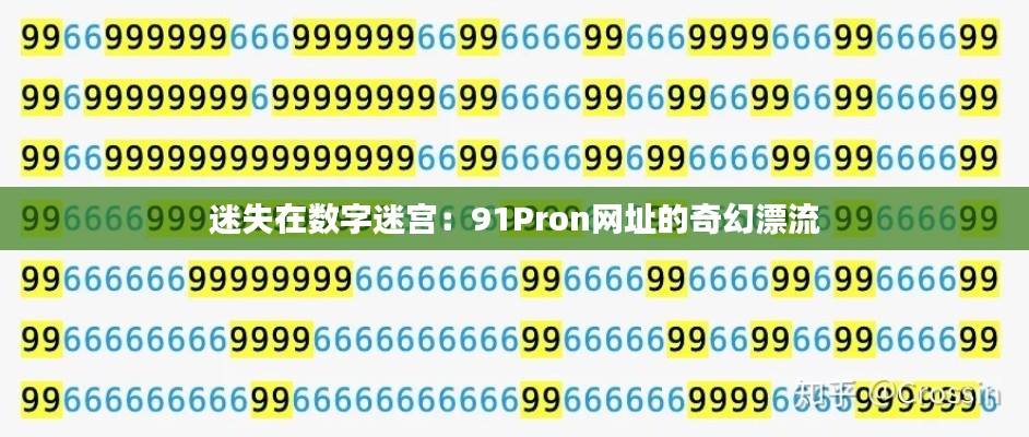 迷失在数字迷宫：91Pron网址的奇幻漂流