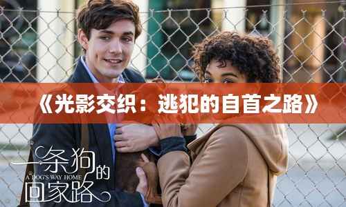 《光影交织:逃犯的自首之路》