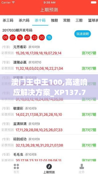 澳门王中王100,高速响应解决方案_XP137.778