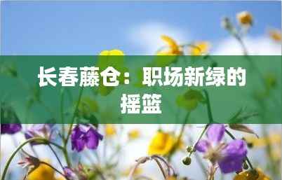 长春藤仓:职场新绿的摇篮