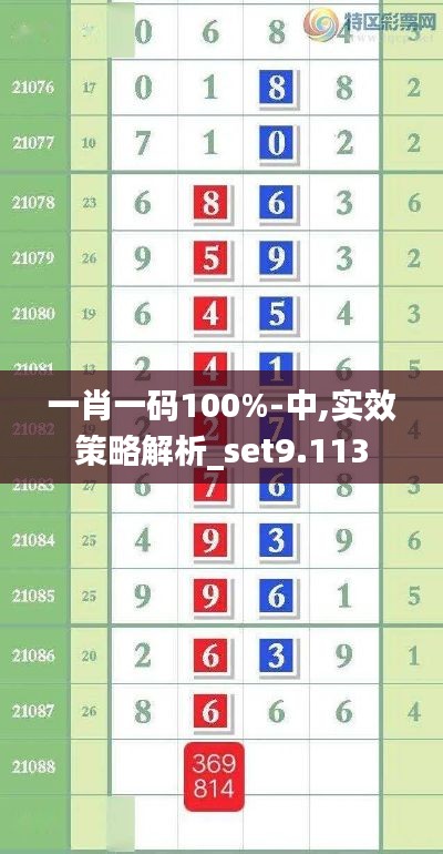一肖一码100%-中,实效策略解析_set9.113