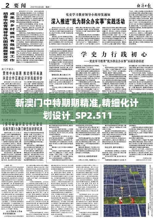 新澳门中特期期精准,精细化计划设计_SP2.511