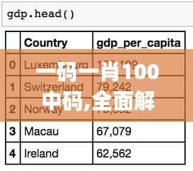 一码一肖100中码,全面解析数据执行_尊享版2.960