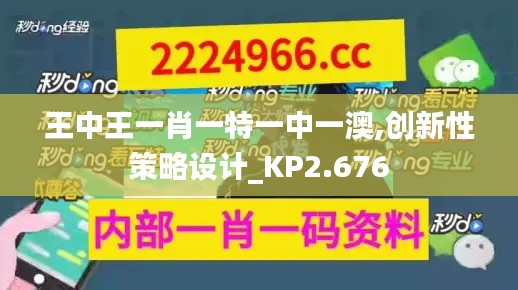 王中王一肖一特一中一澳,创新性策略设计_KP2.676