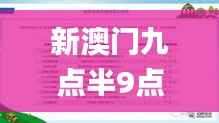 新澳门九点半9点半网站开奖,快速响应执行策略_DX版17.946