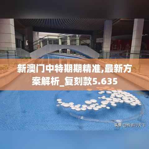 新澳门中特期期精准,最新方案解析_复刻款5.635
