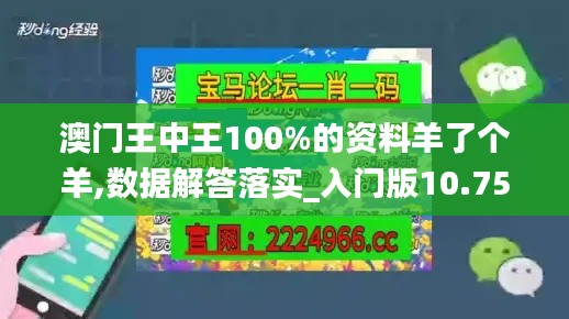 澳门王中王100%的资料羊了个羊,数据解答落实_入门版10.757
