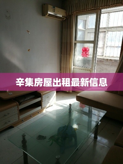 辛集房屋出租最新信息