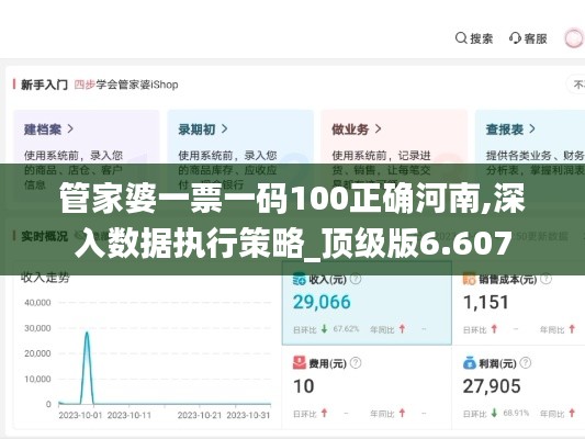 管家婆一票一码100正确河南,深入数据执行策略_顶级版6.607