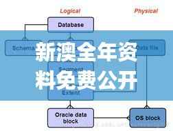 新澳全年资料免费公开,实地验证分析数据_LE版1.407
