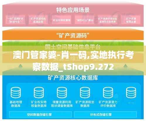 澳门管家婆-肖一码,实地执行考察数据_tShop9.272