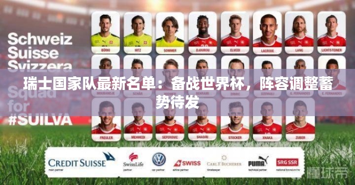 瑞士国家队最新名单:备战世界杯,阵容调整蓄势待发