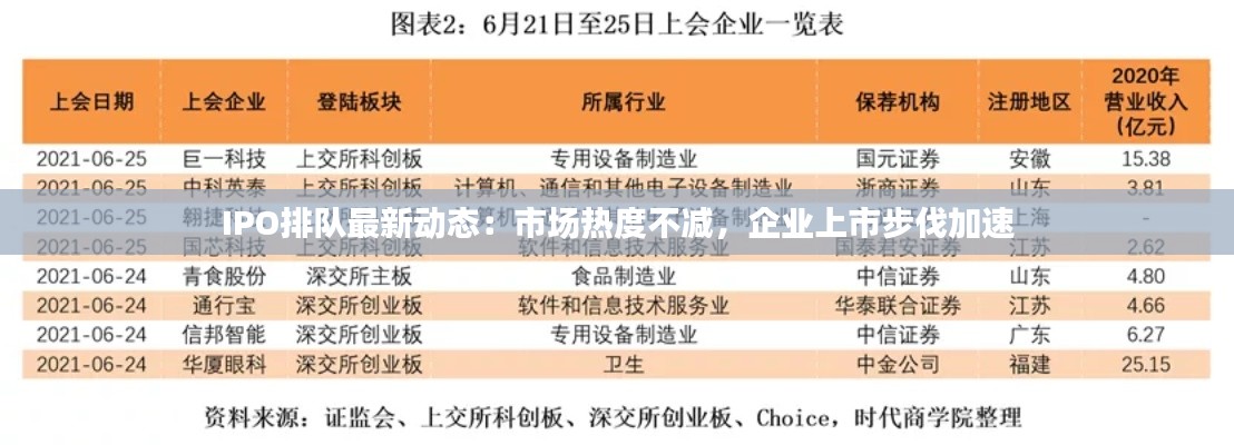 IPO排队最新动态:市场热度不减,企业上市步伐加速