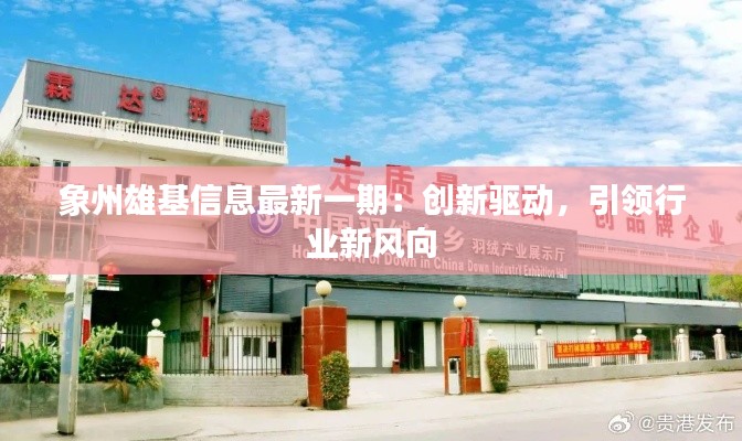 象州雄基信息最新一期:创新驱动,引领行业新风向