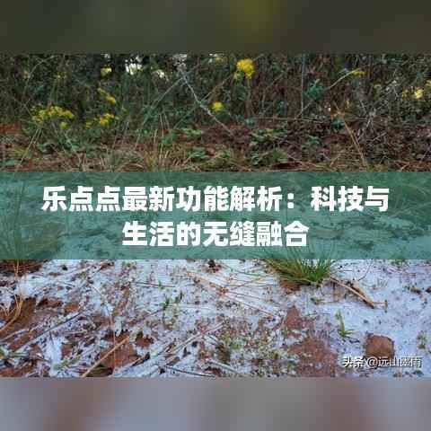 乐点点最新功能解析:科技与生活的无缝融合
