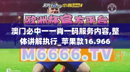 澳门必中一一肖一码服务内容,整体讲解执行_苹果款16.966