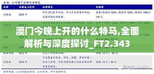 澳门今晚上开的什么特马,全面解析与深度探讨_FT2.343