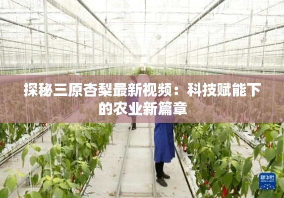 探秘三原杏梨最新视频:科技赋能下的农业新篇章