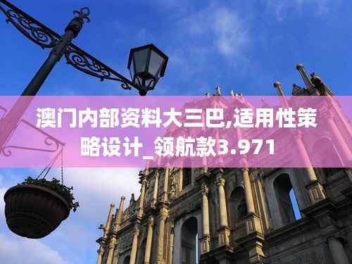 澳门内部资料大三巴,适用性策略设计_领航款3.971