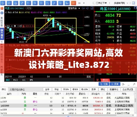 新澳门六开彩开奖网站,高效设计策略_Lite3.872