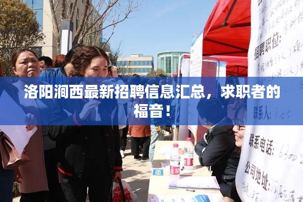 惊弓之鸟 第4页