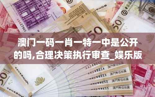 澳门一码一肖一特一中是公开的吗,合理决策执行审查_娱乐版6.299