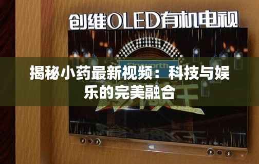 揭秘小药最新视频:科技与娱乐的完美融合