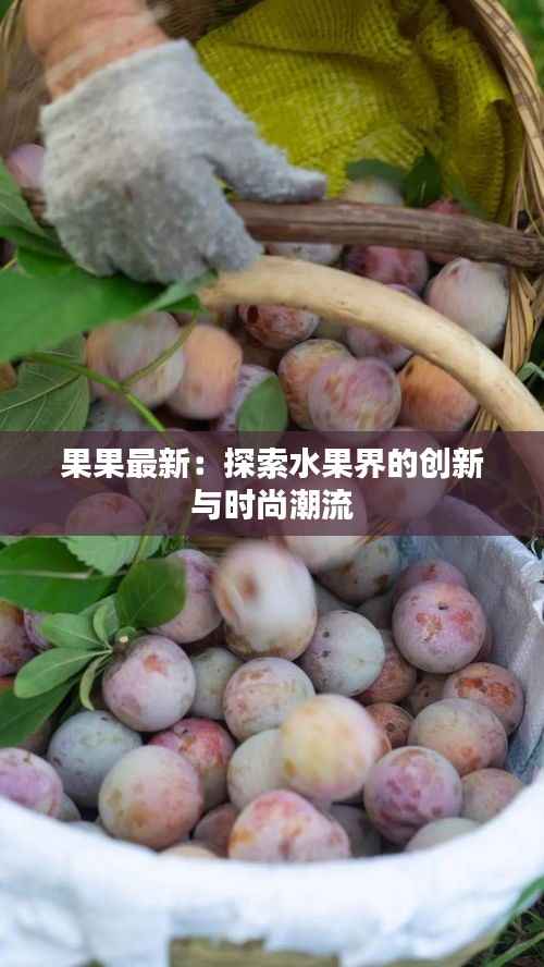 果果最新：探索水果界的创新与时尚潮流