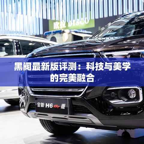 黑阀最新版评测：科技与美学的完美融合