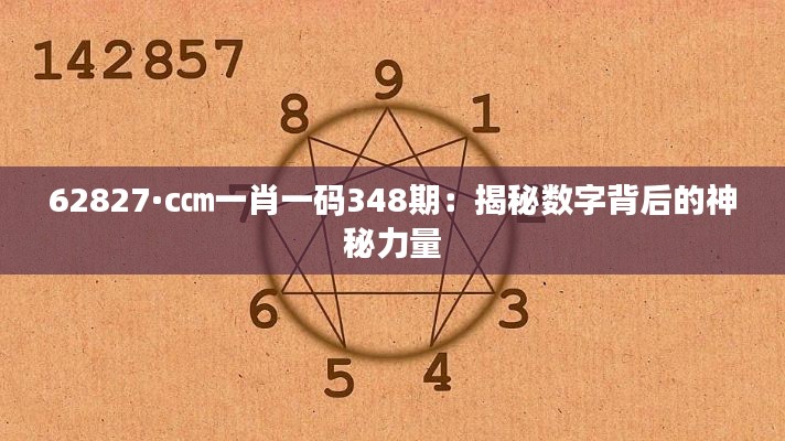 62827·c㎝一肖一码348期:揭秘数字背后的神秘力量