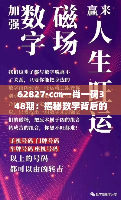 62827·c㎝一肖一码348期:揭秘数字背后的神秘力量