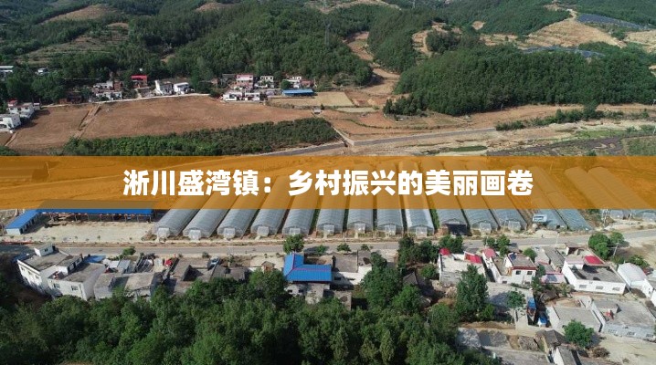 淅川盛湾镇:乡村振兴的美丽画卷