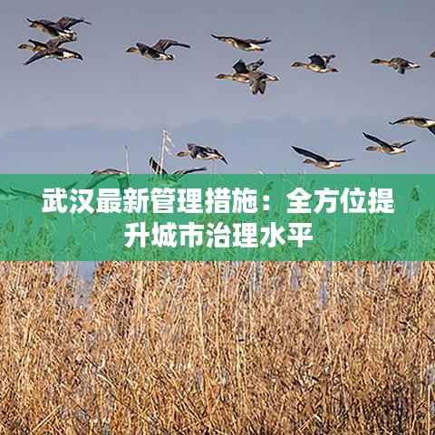 武汉最新管理措施:全方位提升城市治理水平