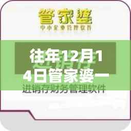往年12月14日管家婆一码一肖100中奖：激战中的智慧较量，财富的快速累积