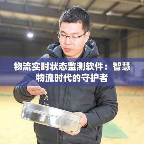 物流实时状态监测软件：智慧物流时代的守护者