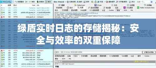 绿盾实时日志的存储揭秘:安全与效率的双重保障