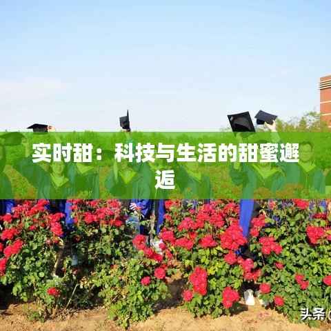 实时甜:科技与生活的甜蜜邂逅