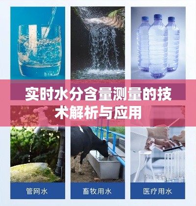 实时水分含量测量的技术解析与应用