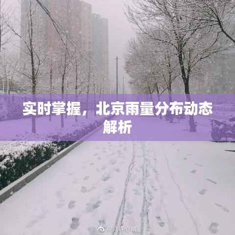 实时掌握，北京雨量分布动态解析