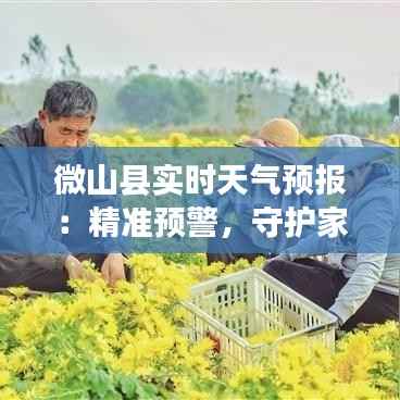 微山县实时天气预报:精准预警,守护家园安宁