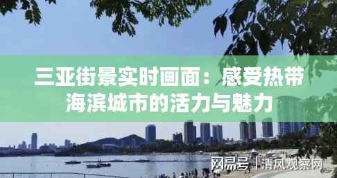 三亚街景实时画面：感受热带海滨城市的活力与魅力