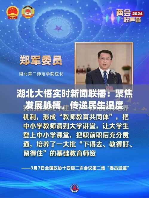 湖北大悟实时新闻联播:聚焦发展脉搏,传递民生温度