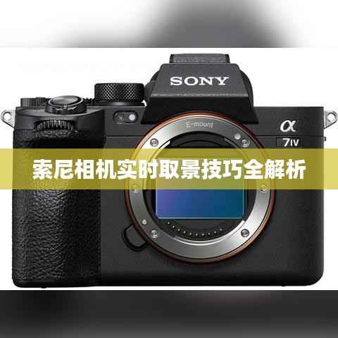 索尼相机实时取景技巧全解析